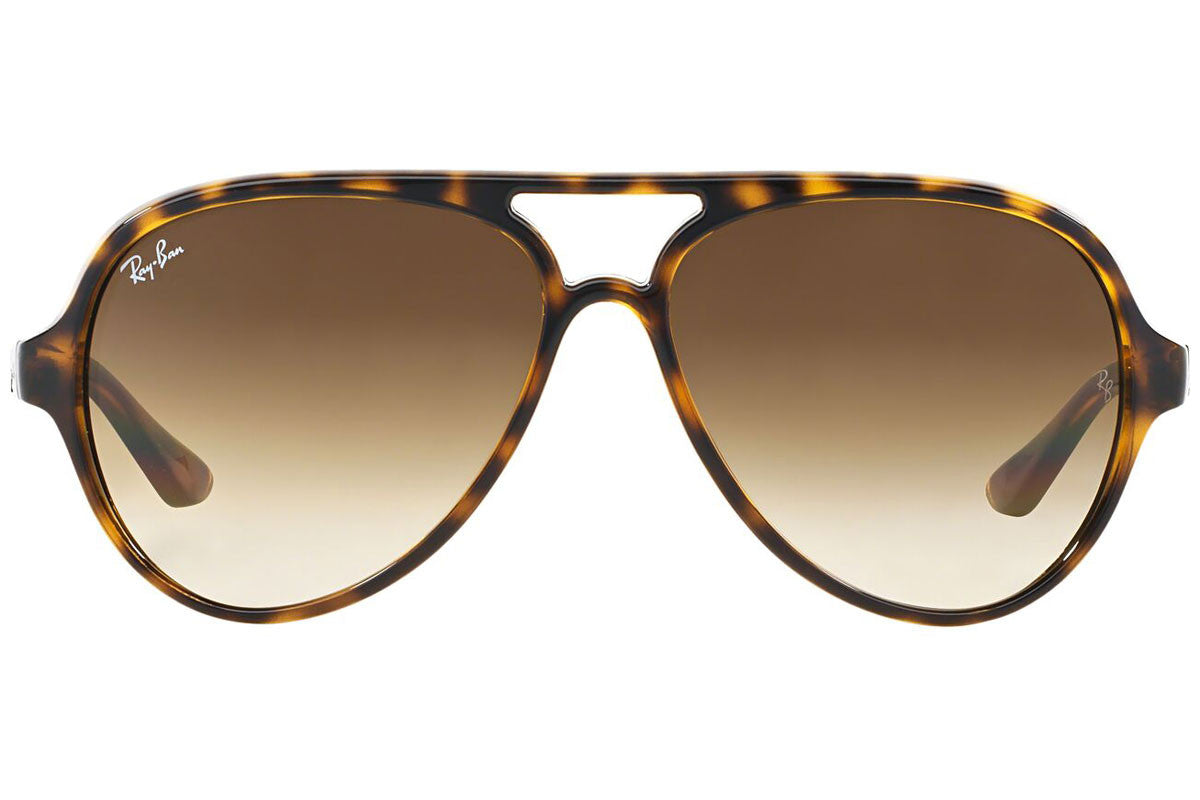 Ray Ban 4125 Cats 5000