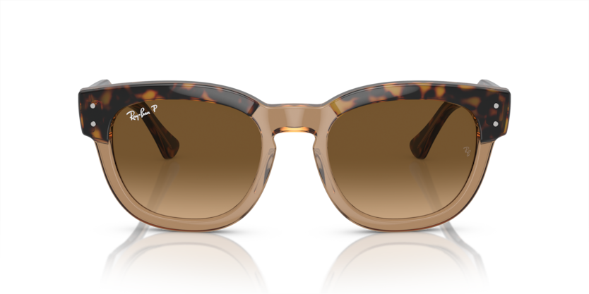 Ray Ban 0298S Mega Hawkeye