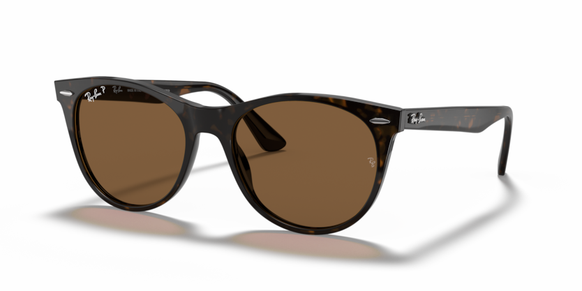 Ray Ban 2185 Wayfarer II