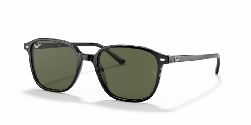 Ray Ban 2193 Leonard