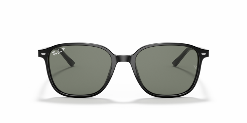 Ray Ban 2193 Leonard