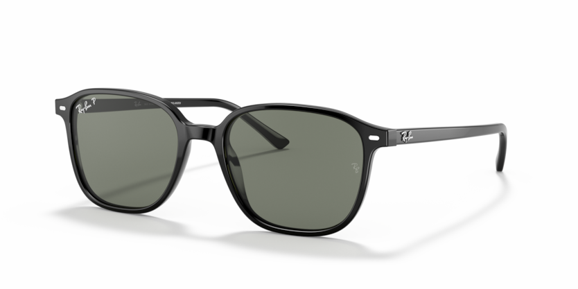 Ray Ban 2193 Leonard