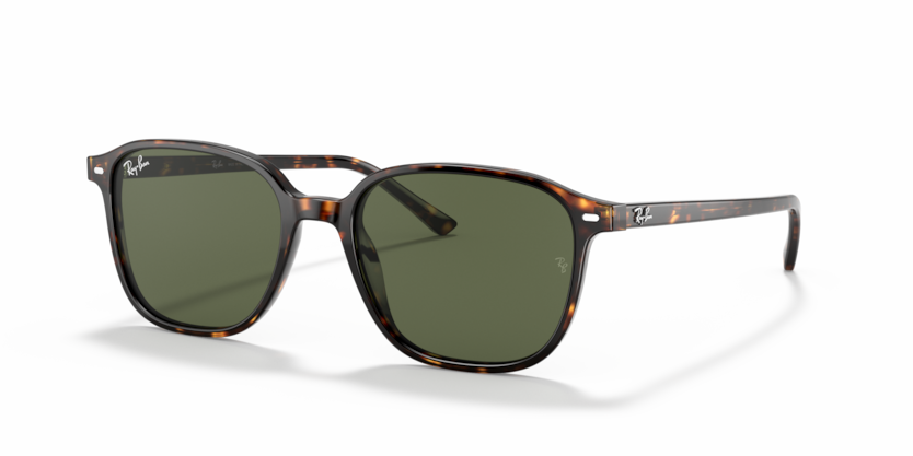 Ray Ban 2193 Leonard