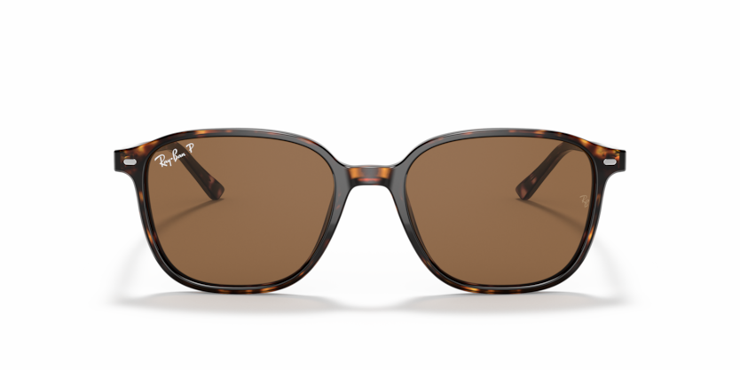 Ray Ban 2193 Leonard