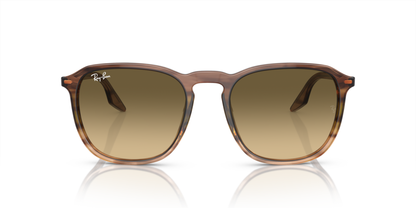 Ray Ban 2203