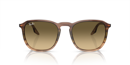 Ray Ban 2203