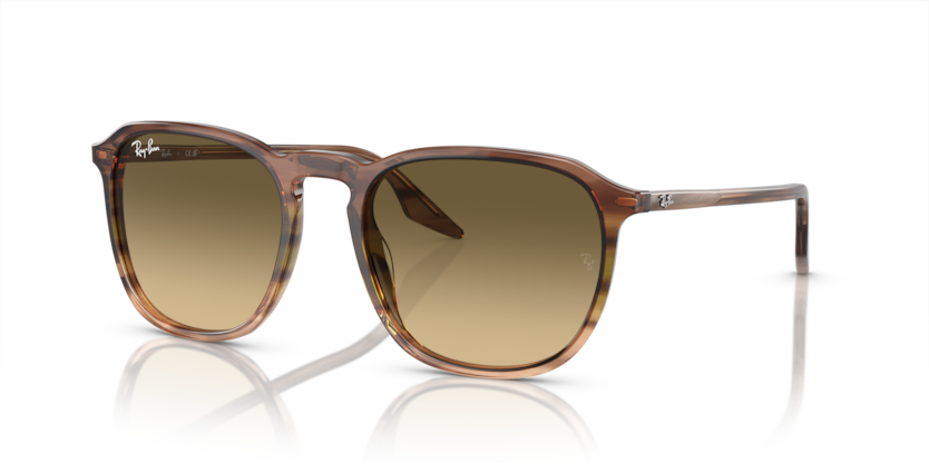 Ray Ban 2203