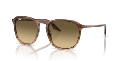 Ray Ban 2203