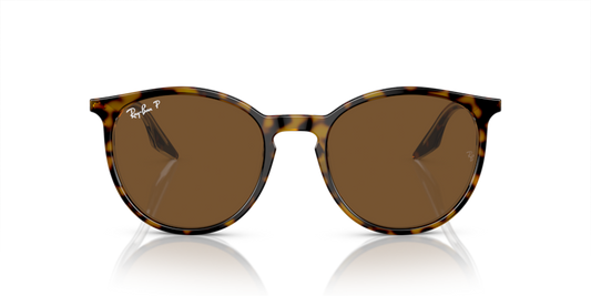 Ray Ban 2204F