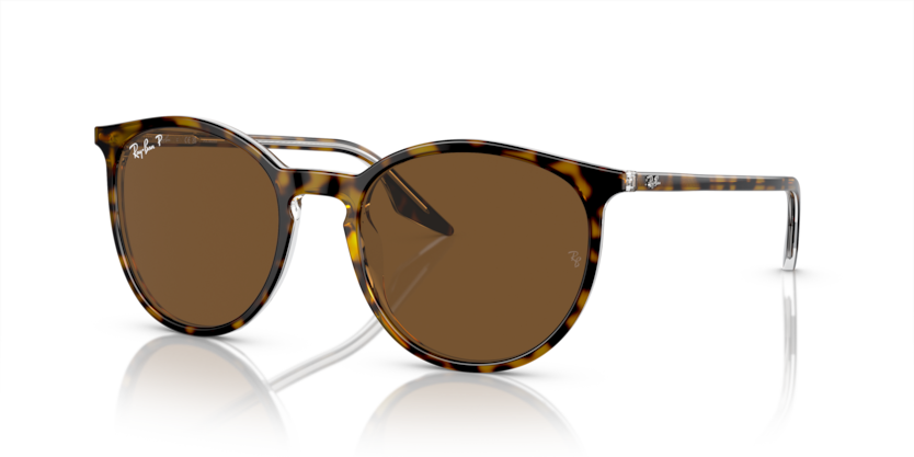 Ray Ban 2204