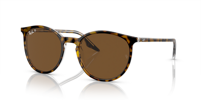 Ray Ban 2204