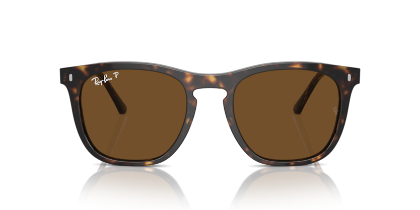 Ray Ban 2210