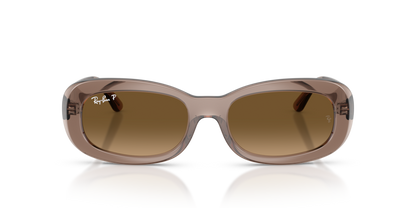 Ray Ban 2221
