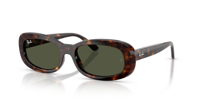Ray Ban 2221