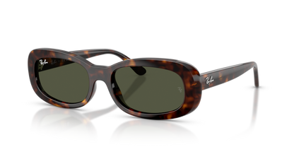 Ray Ban 2221