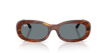 Ray Ban 2221
