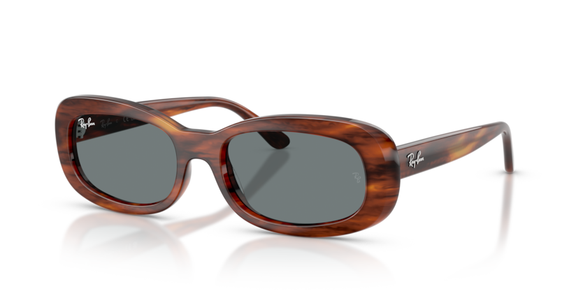 Ray Ban 2221