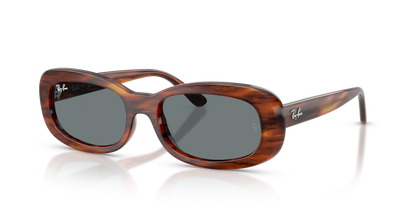 Ray Ban 2221