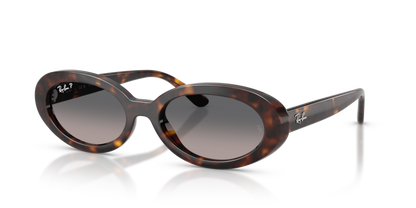 Ray Ban 2223F