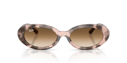 Ray Ban 2223