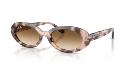 Ray Ban 2223