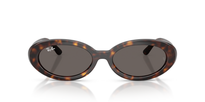 Ray Ban 2223