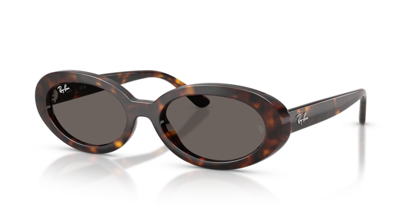 Ray Ban 2223