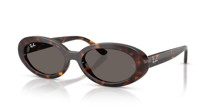 Ray Ban 2223