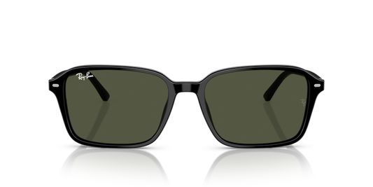 Ray Ban 2231