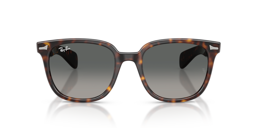 Ray Ban 2235 Brunel II