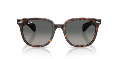 Ray Ban 2235 Brunel II