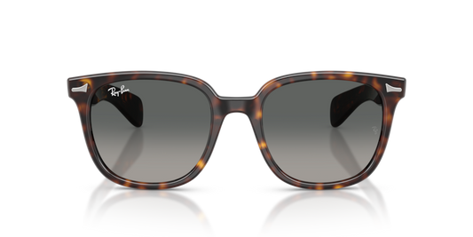 Ray Ban 2235 Brunel II