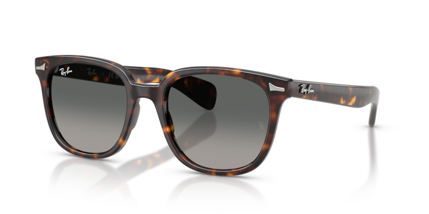 Ray Ban 2235 Brunel II