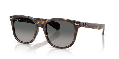 Ray Ban 2235 Brunel II
