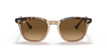 Ray Ban 2298 Hawkeye