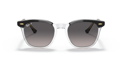 Ray Ban 2298 Hawkeye