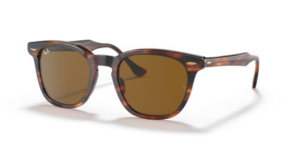 Ray Ban 2298 Hawkeye