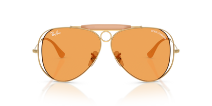 Ray Ban x Dolce & Gabbana 3138