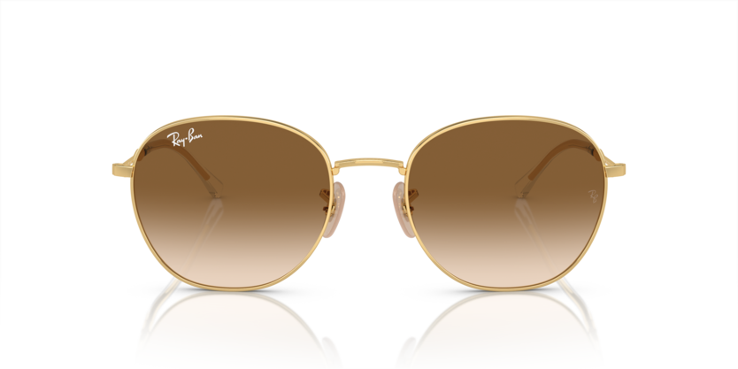 Ray Ban 3809