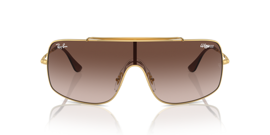 Ray Ban Wings III 3987