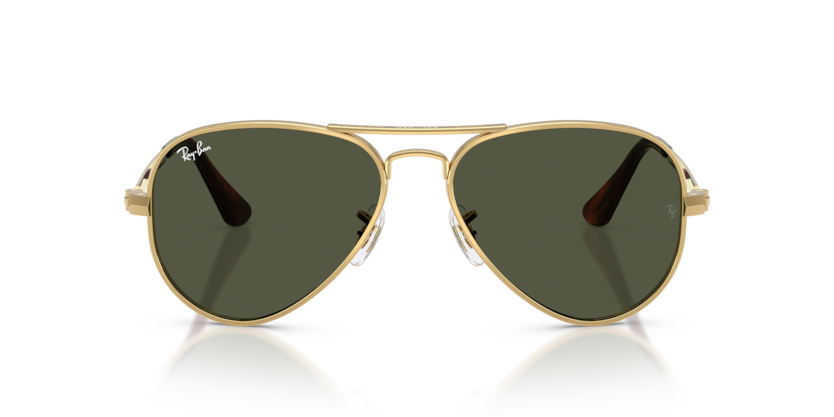 Ray-Ban 3925 Aviator Max