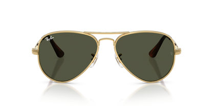 Ray-Ban 3925 Aviator Max
