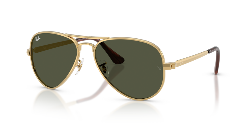 Ray-Ban 3925 Aviator Max