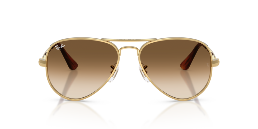 Ray-Ban 3925 Aviator Max