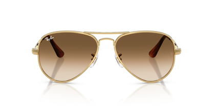 Ray-Ban 3925 Aviator Max