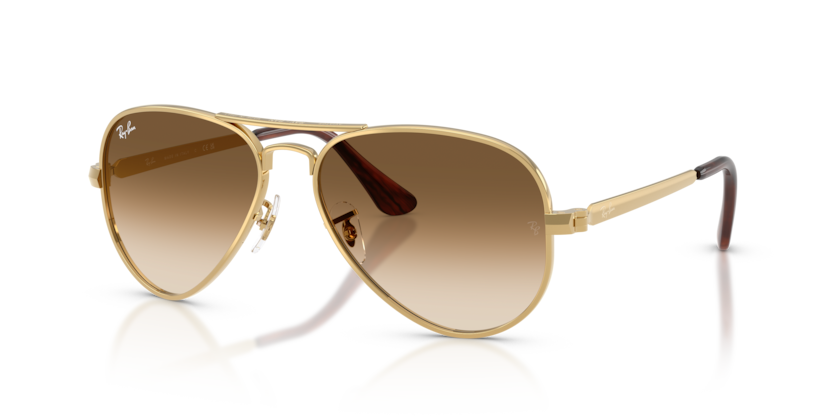 Ray-Ban 3925 Aviator Max