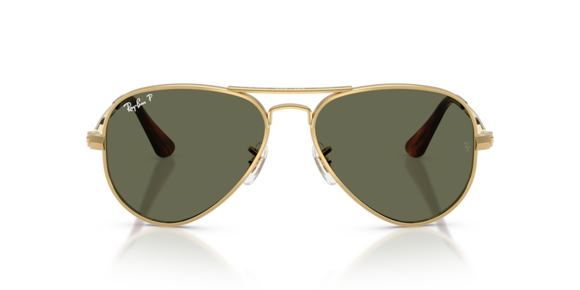 Ray-Ban 3925 Aviator Max
