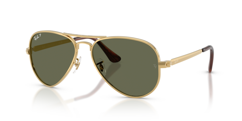 Ray-Ban 3925 Aviator Max