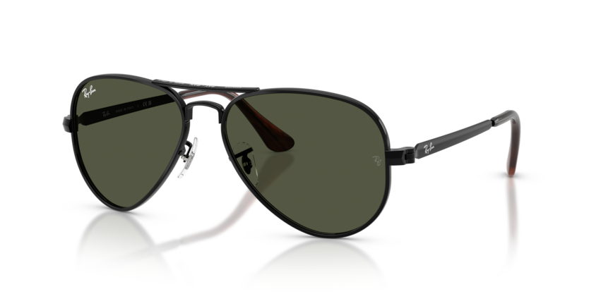 Ray-Ban 3925 Aviator Max