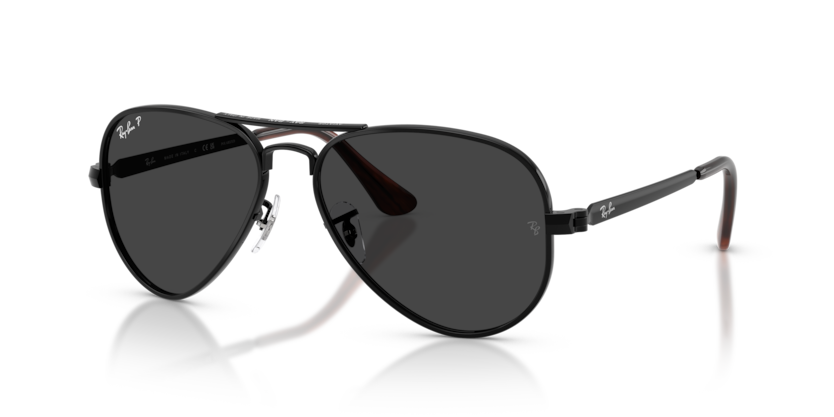 Ray-Ban 3925 Aviator Max
